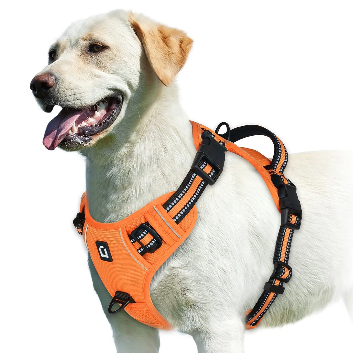 Padded front-clip dog harness product image 19