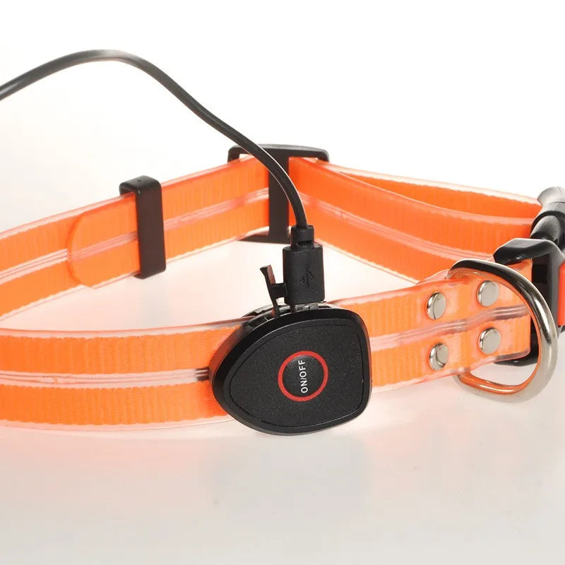 Rechargeable PVC LED dog collar product image 25