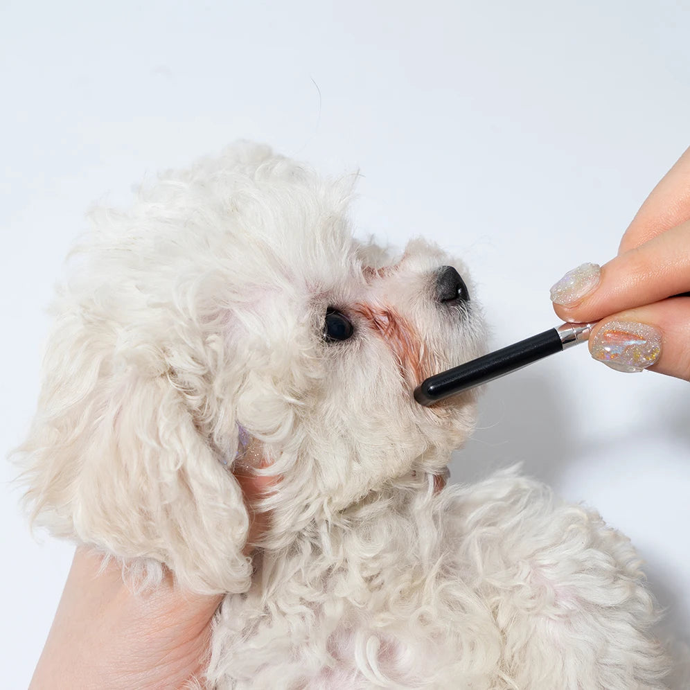 Pet face grooming comb and tool set product image 9