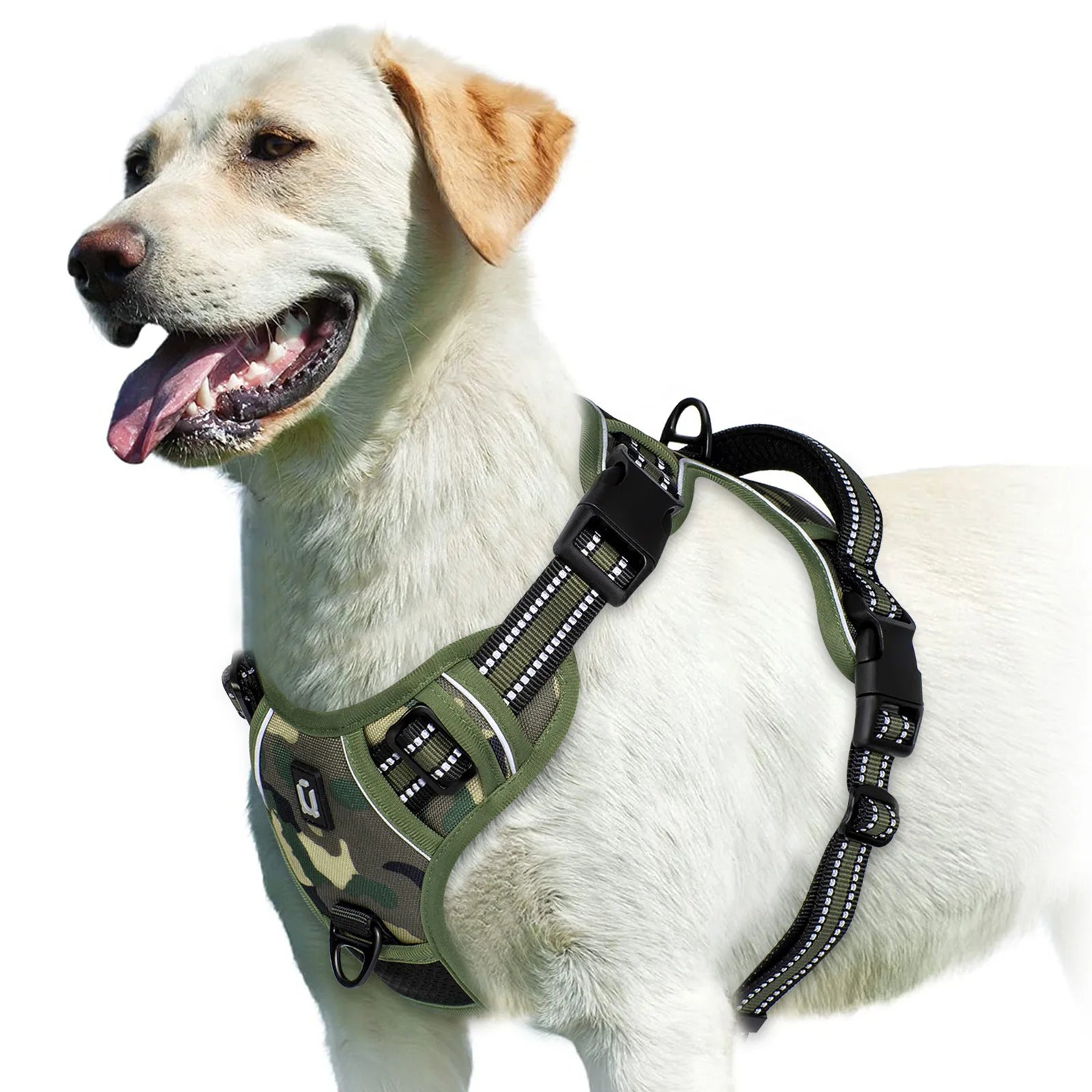 Padded front-clip dog harness product image 11