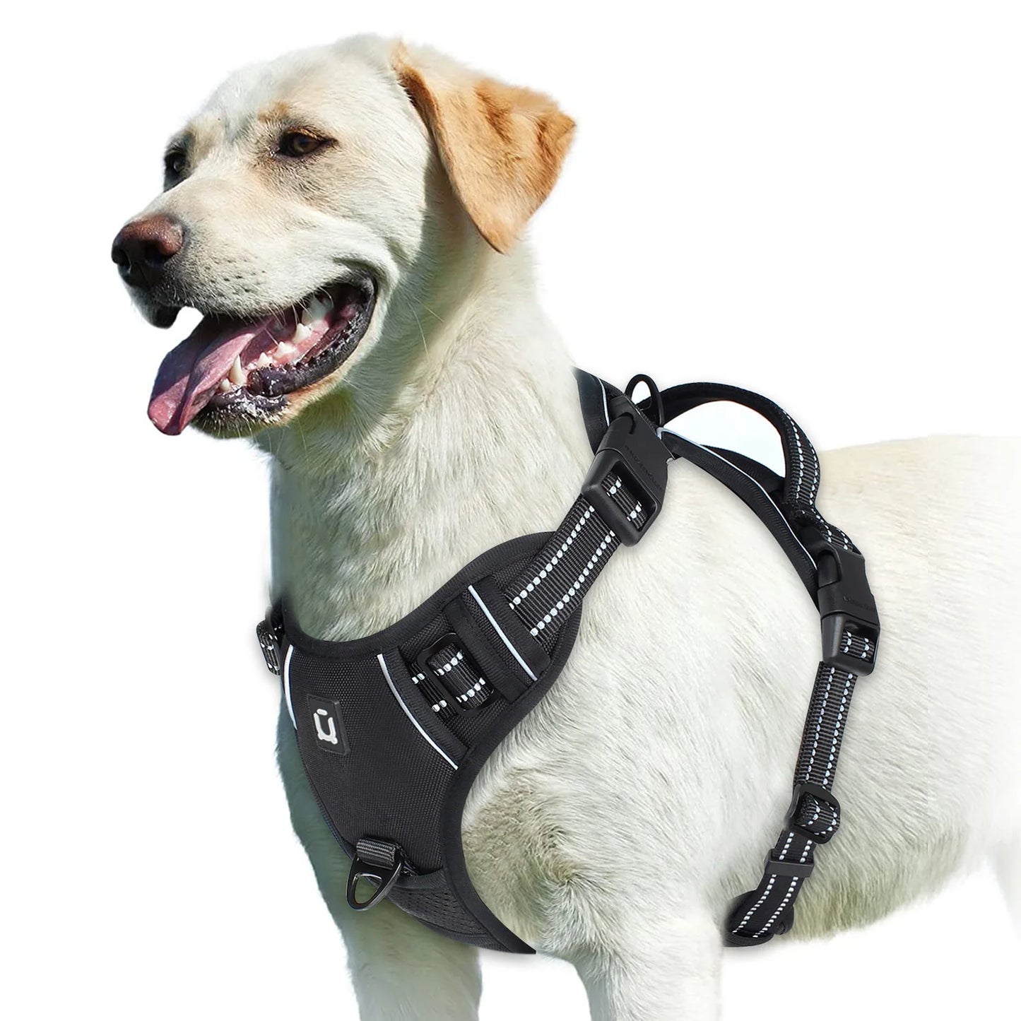 Padded front-clip dog harness product image 15