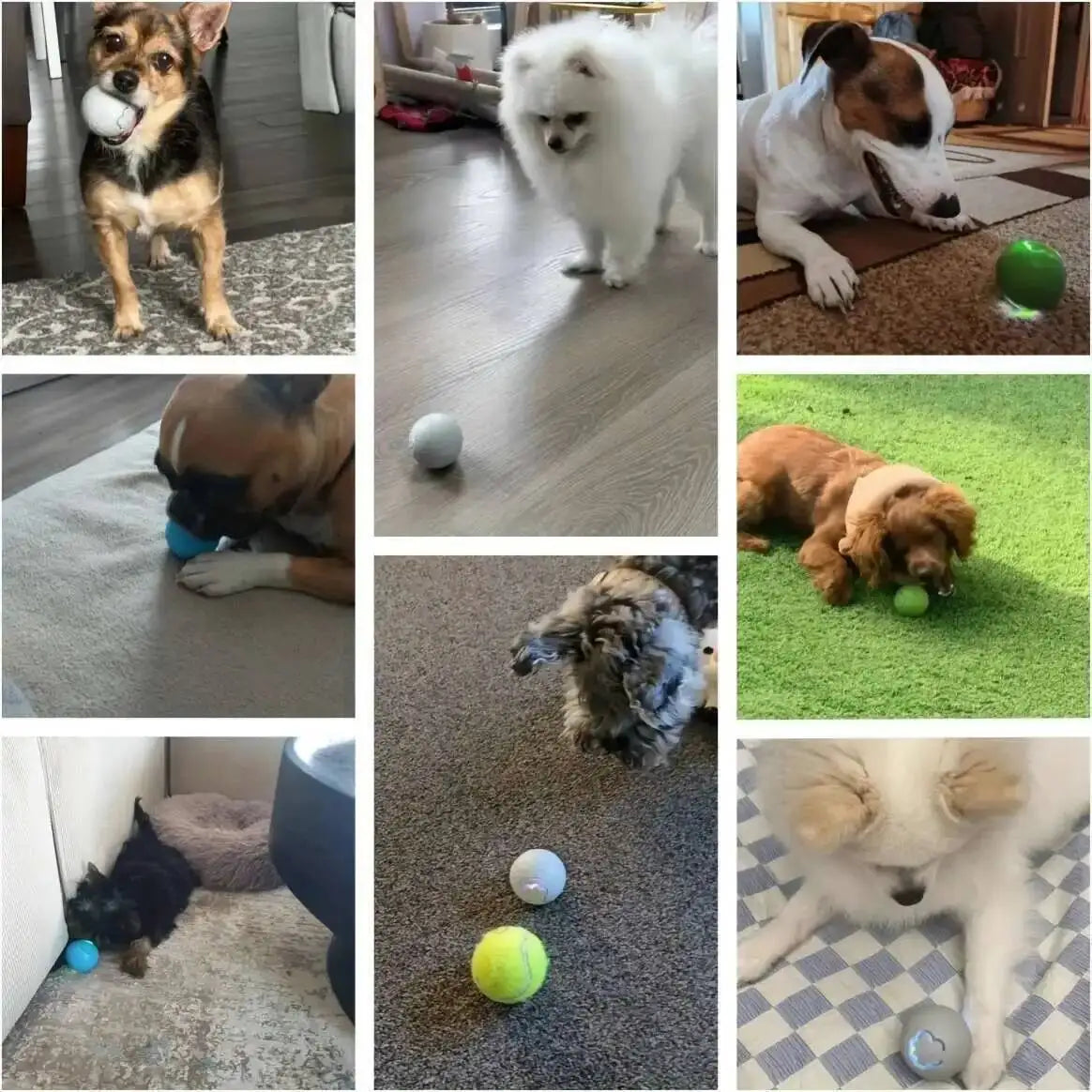 Rechargeable rolling pet ball product image 16