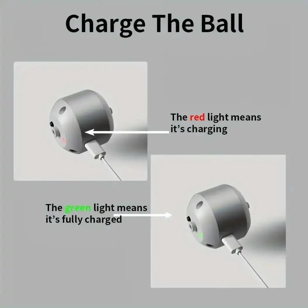 Rechargeable rolling pet ball product image 14