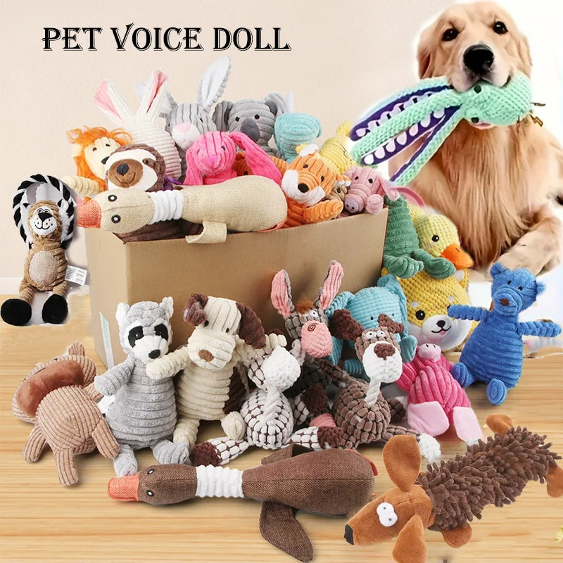 Toys & Enrichment