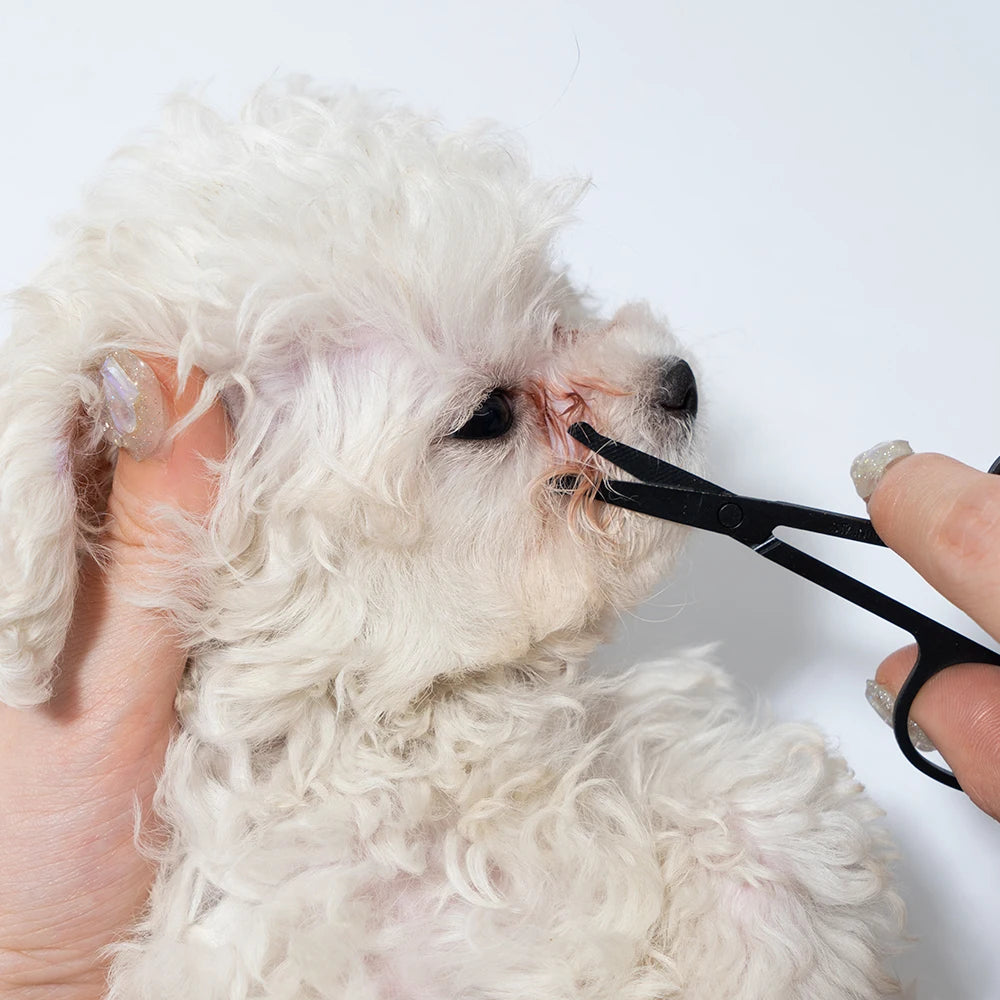 Pet face grooming comb and tool set product image 5