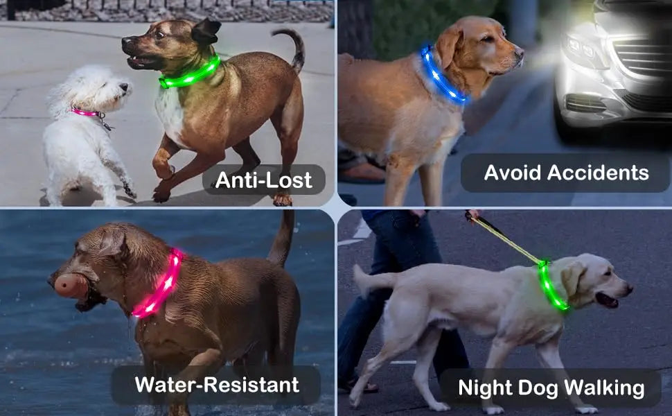 Rechargeable PVC LED dog collar product image 14