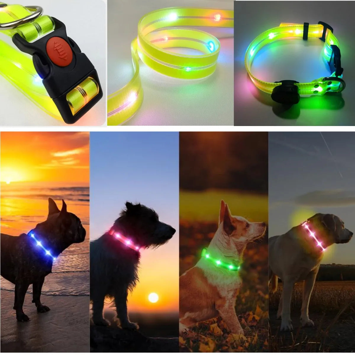 Rechargeable PVC LED dog collar product image 5