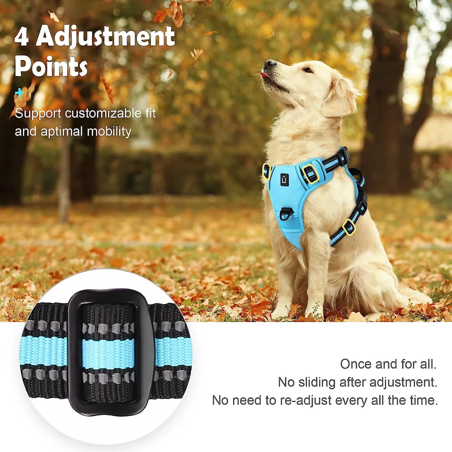 Padded front-clip dog harness product image 5