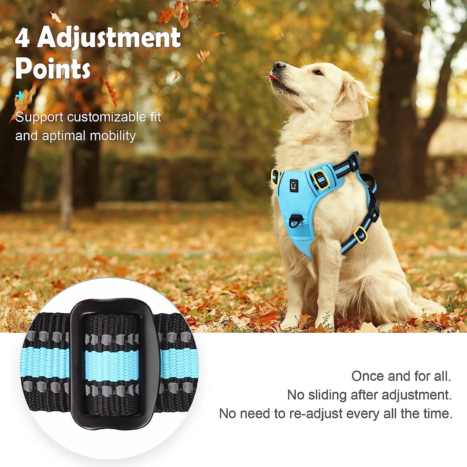 Padded front-clip dog harness product image 5