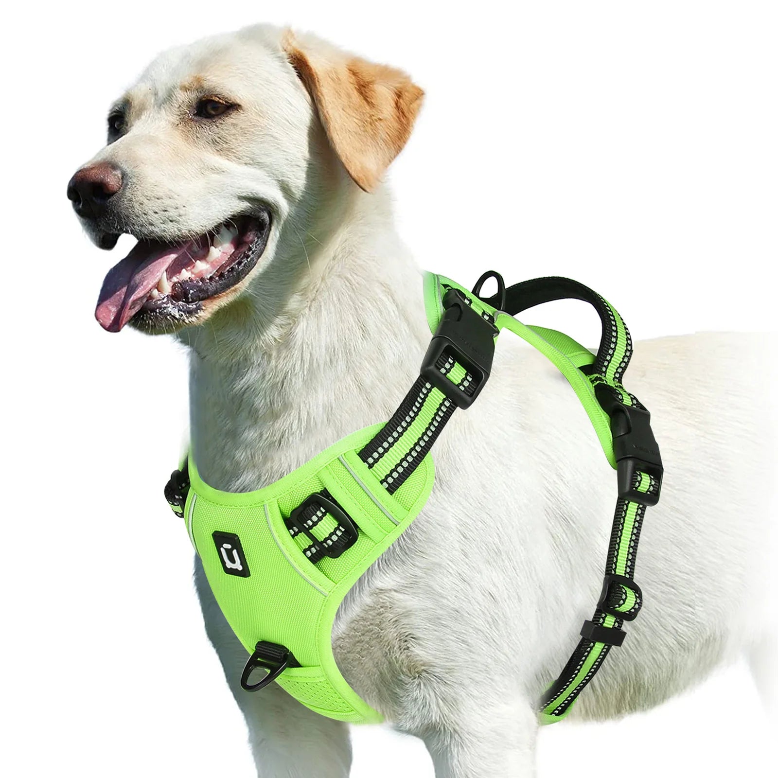 Padded front-clip dog harness product image 16