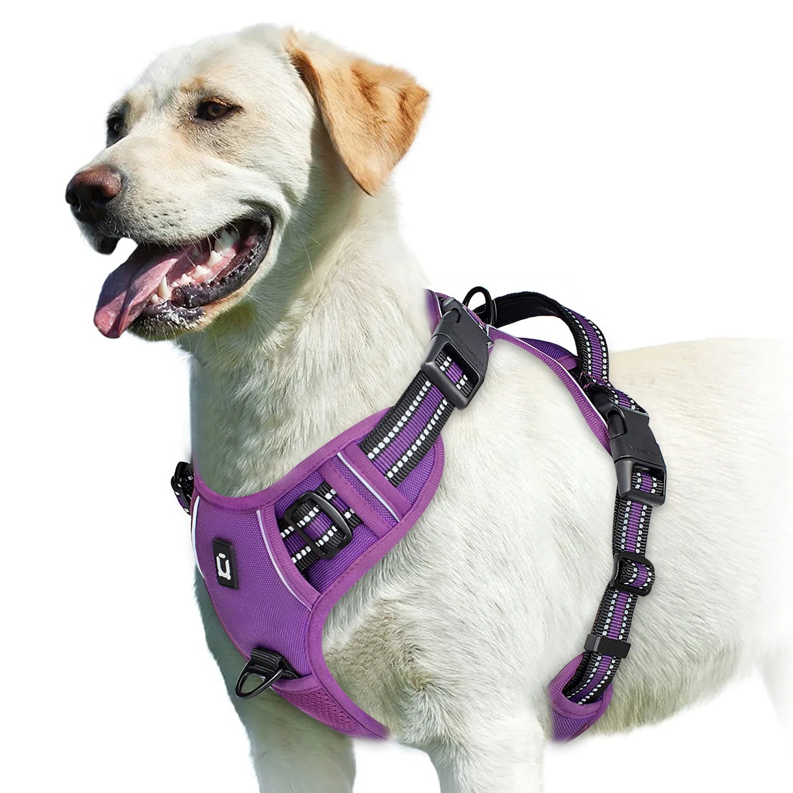 Padded front-clip dog harness product image 17