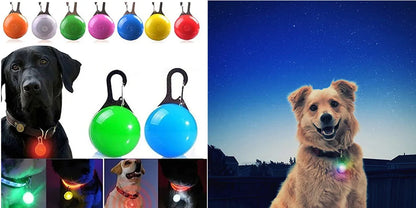 Rechargeable PVC LED dog collar product image 32