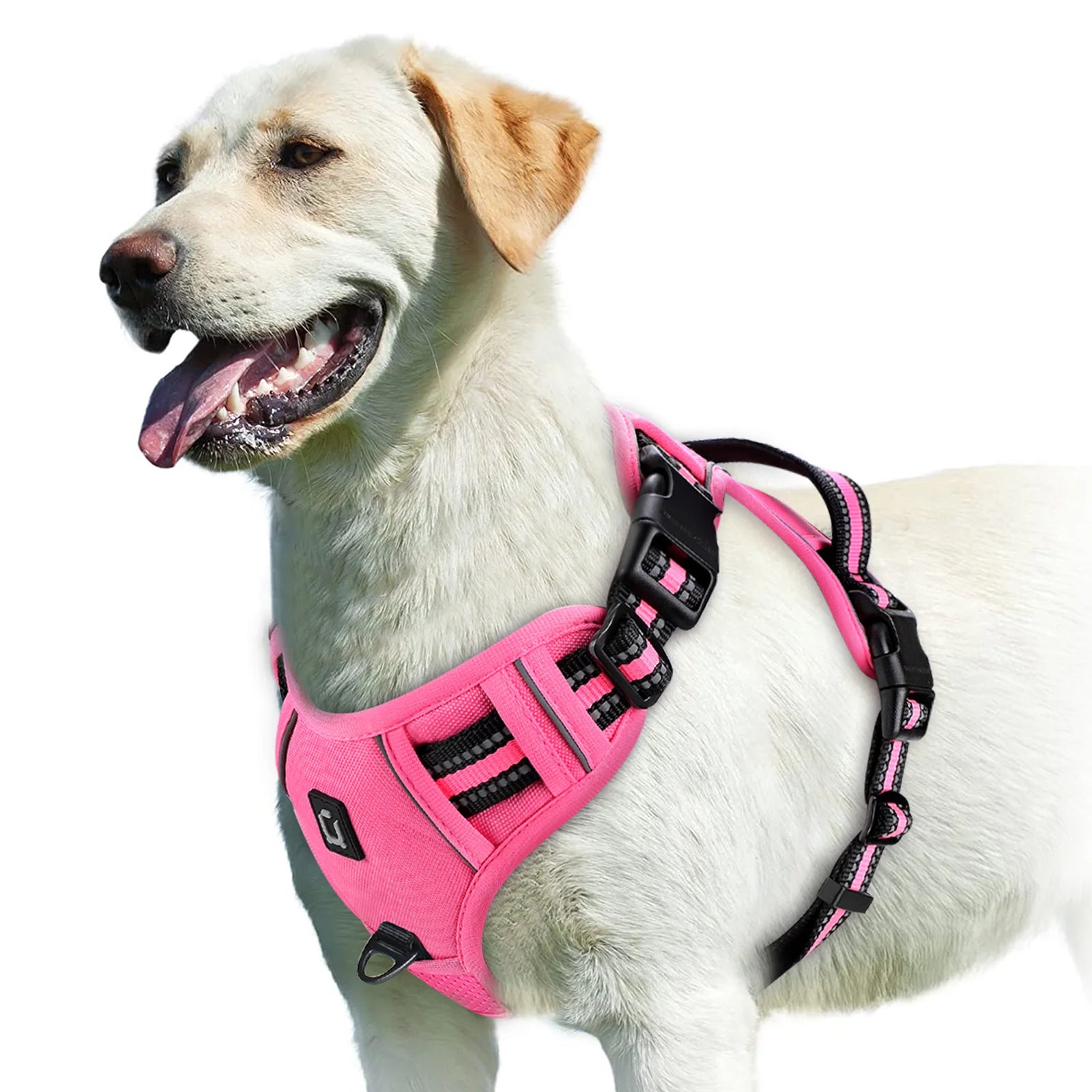 Padded front-clip dog harness product image 14