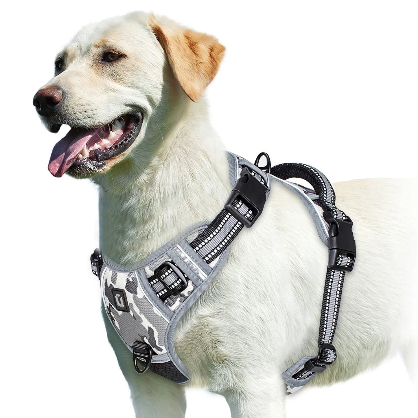 Padded front-clip dog harness product image 18