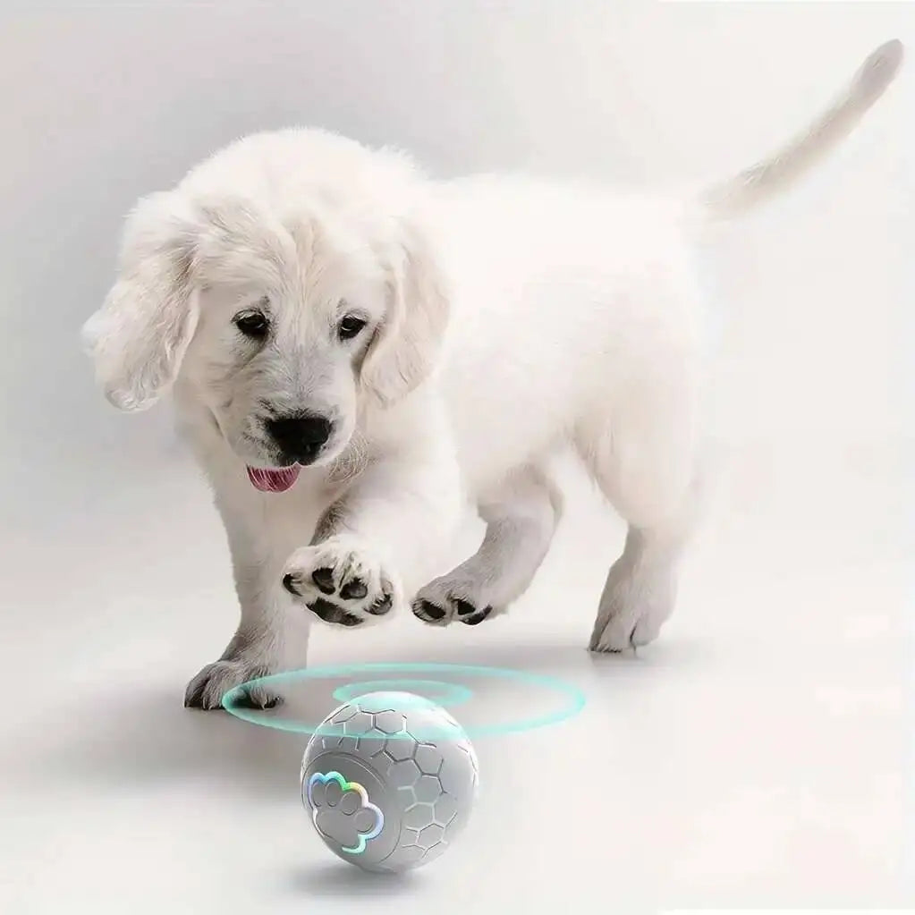 Rechargeable rolling pet ball product image 11