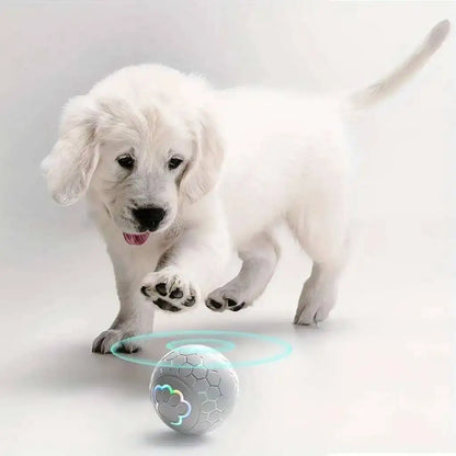 Rechargeable rolling pet ball product image 11