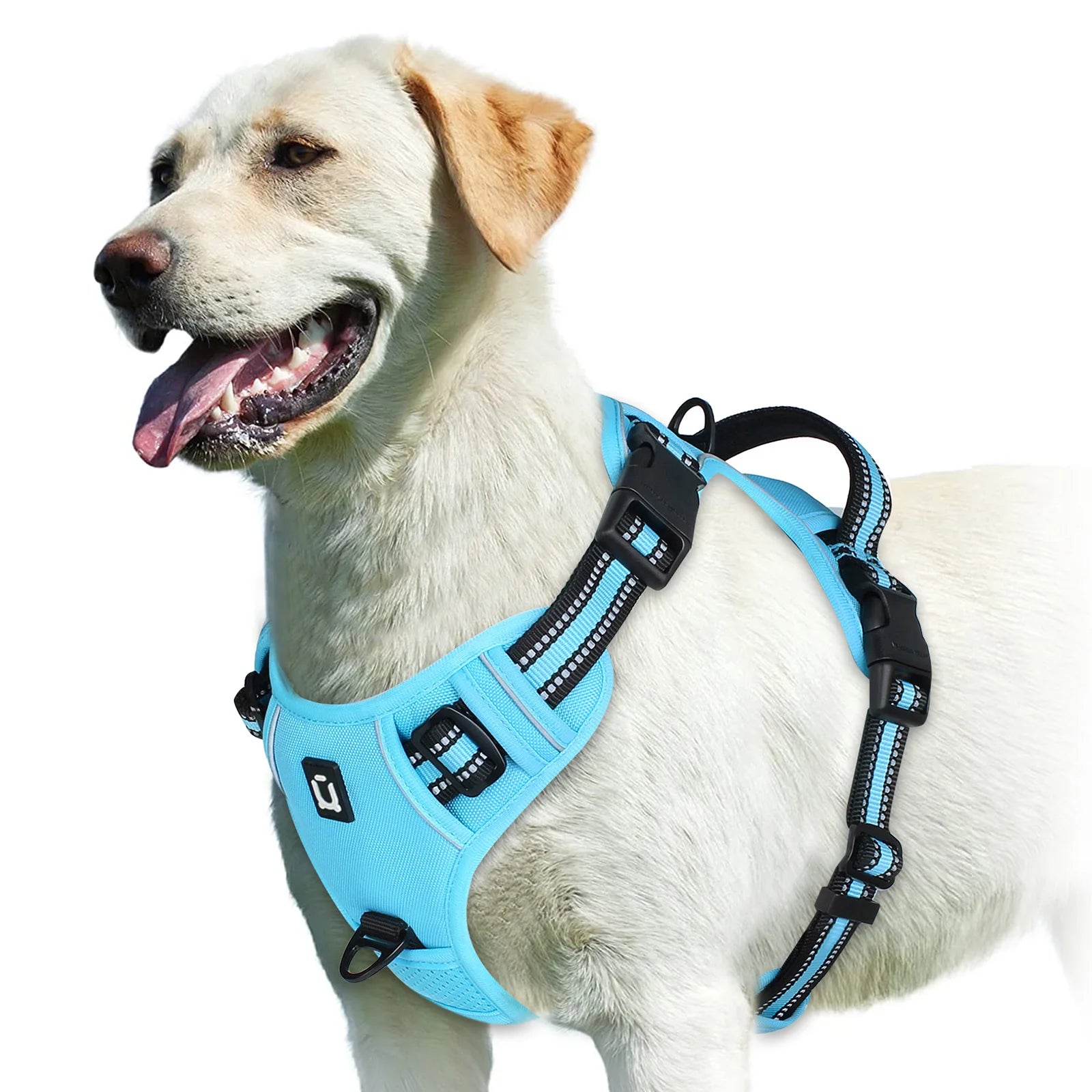 Padded front-clip dog harness product image 13