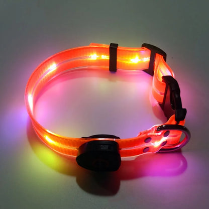 Rechargeable PVC LED dog collar product image 27