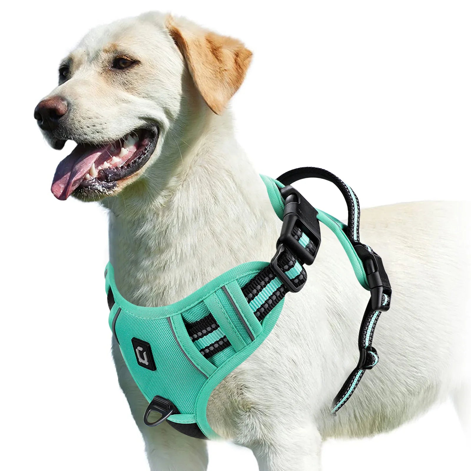 Padded front-clip dog harness product image 12